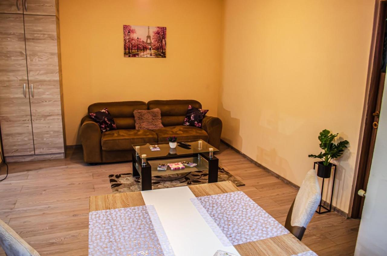 Schaessburg Apartment #1 Сигишоара Екстериор снимка