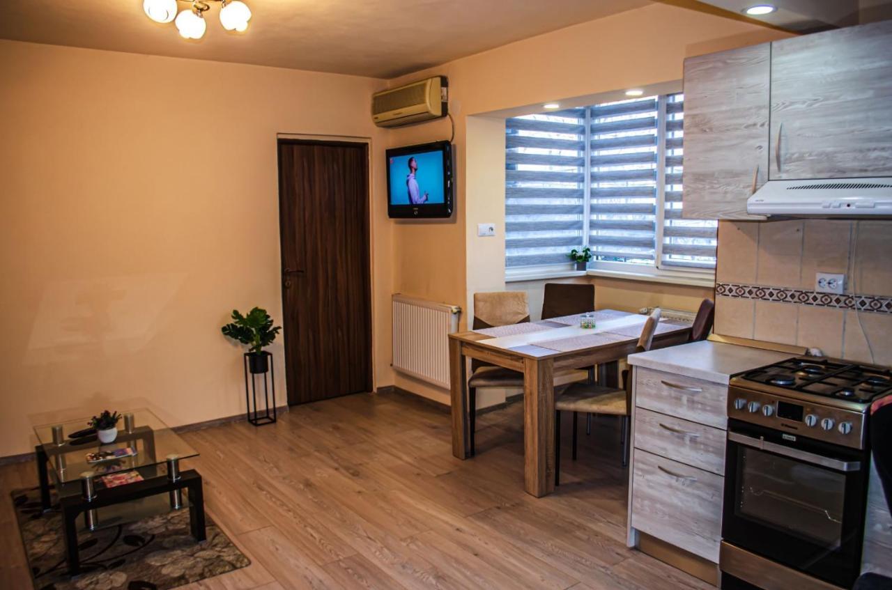 Schaessburg Apartment #1 Сигишоара Екстериор снимка